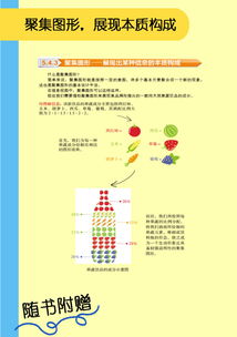 一图胜千言 信息可视化艺术设计指南与信息服务业务的融合之道